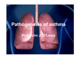 Pathogenesis-of-asthma-14