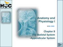Chapter_08_AppendicularSystemx