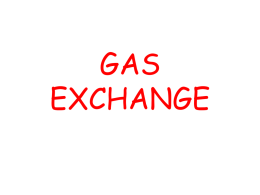 Gas Exchange Live Show