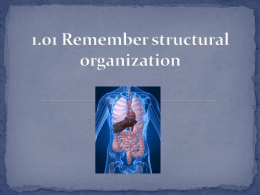 Structural Organization and Body Systems obj 1 PP 08282014
