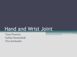 Hand and Wrist Joint