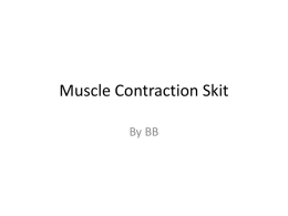 Muscle Contraction Skit - Coach Blair`s Biology Website