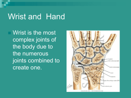 wrist_and_hand