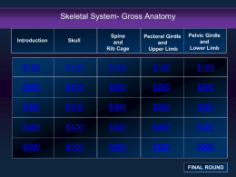 Ch. 7 Jeopardy (Gross Anatomy)