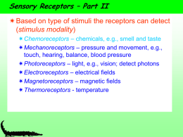 Sensory receptors
