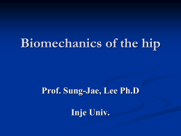Biomechanics of hip - THAAI PHYSIO CLINIC.