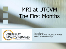 MRI at UTCVM The First Week - UT Veterinary Imaging Services