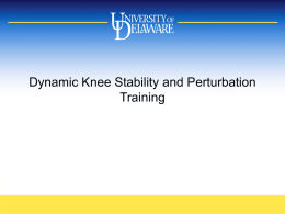 Dynamic Knee Stability and Perturbation Training
