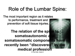 Role of the Lumbar Spine: