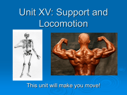 Unit XV: Support and Locomotion