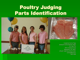 Poultry Judging Parts Identification - Georgia 4-H
