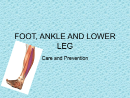 ANKLE AND LOWER LEG - Doral Academy Preparatory