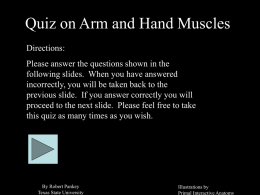 PowerPoint Presentation - Quiz on Arm and Hand Muscles
