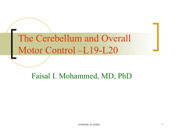 The Cerebellum, Basal Ganglia and Overall Motor Control
