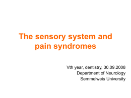 The sensory system - Semmelweis University