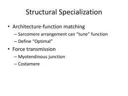 Structural Specialization - Georgia Institute of Technology