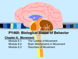 PY460: Physiological Psychology