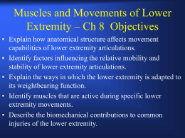Lower Extremit Structure and Function