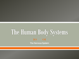 The Human Body Systems - Mr. Swan