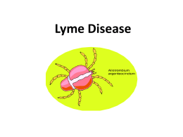 Lyme Disease - Messiah College