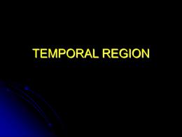 TEMPORAL REGION