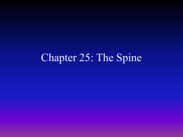 Chapter 25: The Spine - Kent City School District