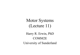 Motor Systems - University of Sunderland