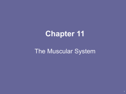 Chapter 3