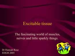 Excitable tissue