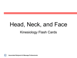 Musculoskeletal Kinesiology