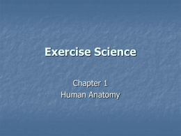 Exercise Science - Dixie State University