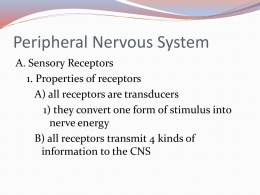 Nervous System - Georgia Highlands College