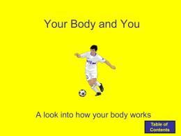 Your Body and You