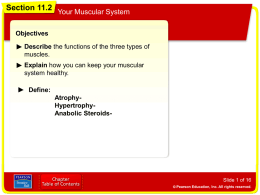 The Muscular System - Kalaheo High School