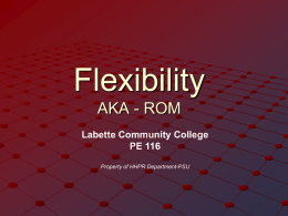 Introduction to Flexibility - The Red Zone