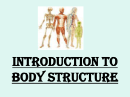 introduction to body structure