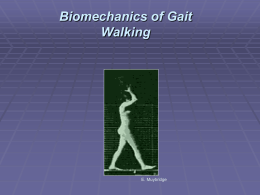 Biomechanics of Walking and Running