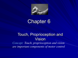 Chapter 6. Touch, Proprioception and Vision