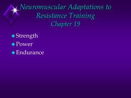 4. Neuromuscular Adaptations to Resistance Training.
