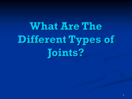 What Are The Different Types of Joints?