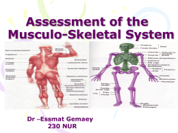 Assessment of the Musculo