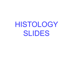 histology slides - Moore Public Schools