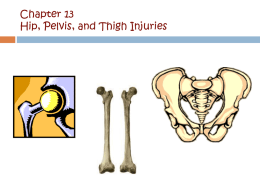 Chapter 15 Knee Injuries