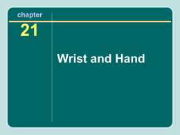 chapter 21 Wrist and Hand Importance of the Hand