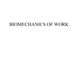 BIOMECHANICS OF WORK