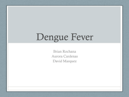 Dengue Fever - Cal State LA