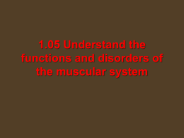 1.05 Understand the functions and disorders of the muscular system