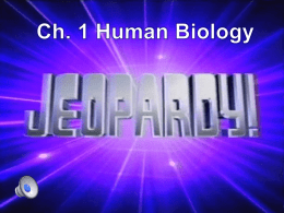 Ch. 1 Jeopardy Review Game