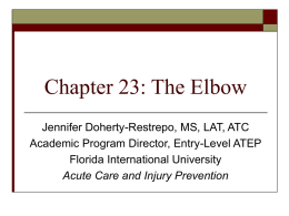 Chapter 23: The Elbow - Florida International University