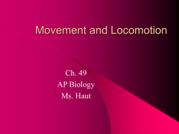 Ch. 49 Movement and Locomotion notes